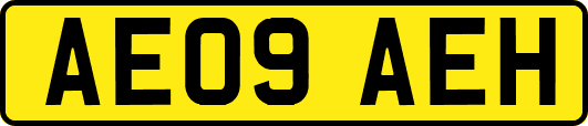 AE09AEH