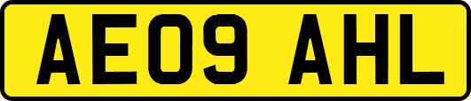 AE09AHL