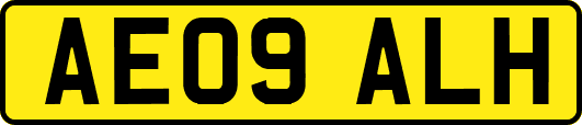 AE09ALH