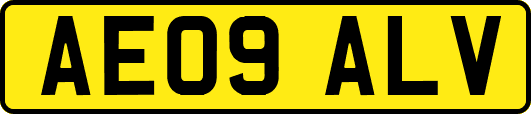 AE09ALV