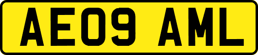 AE09AML