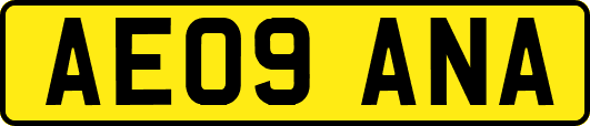 AE09ANA