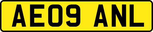 AE09ANL
