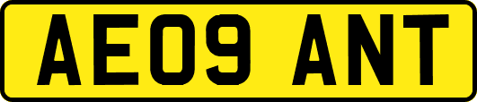 AE09ANT