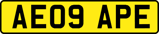 AE09APE