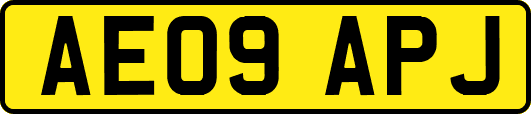 AE09APJ