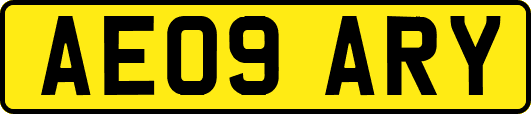 AE09ARY