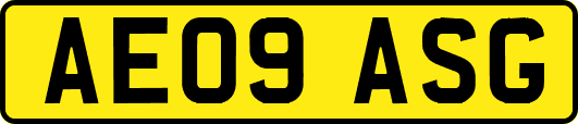 AE09ASG