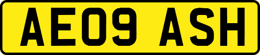 AE09ASH