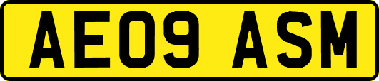 AE09ASM