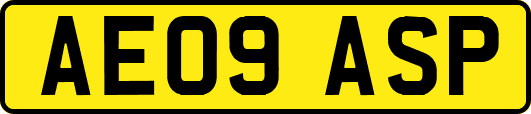 AE09ASP