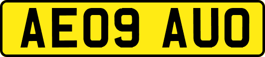 AE09AUO