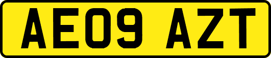 AE09AZT