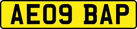 AE09BAP