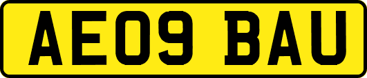 AE09BAU
