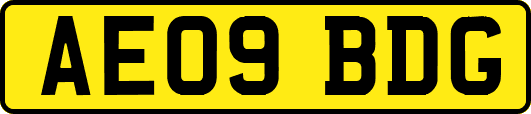 AE09BDG