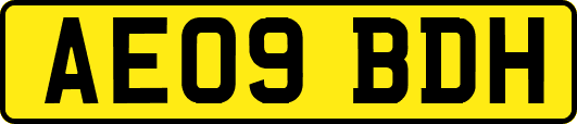 AE09BDH
