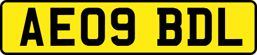 AE09BDL