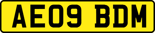 AE09BDM