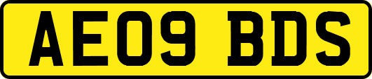 AE09BDS