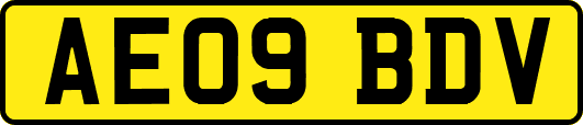 AE09BDV