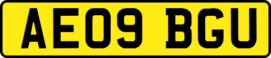 AE09BGU