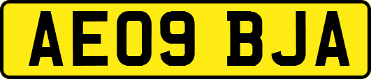 AE09BJA