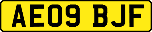 AE09BJF