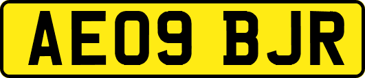 AE09BJR