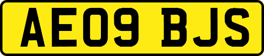 AE09BJS