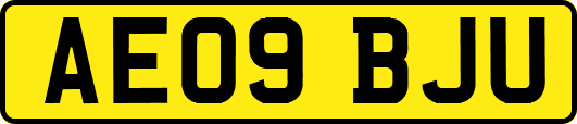AE09BJU