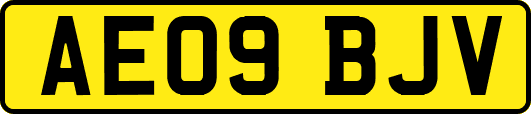 AE09BJV
