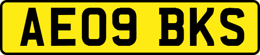 AE09BKS