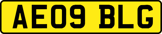 AE09BLG