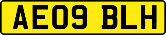 AE09BLH