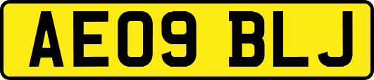 AE09BLJ
