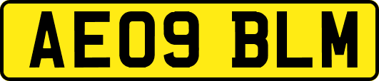 AE09BLM