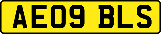 AE09BLS
