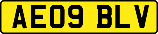 AE09BLV