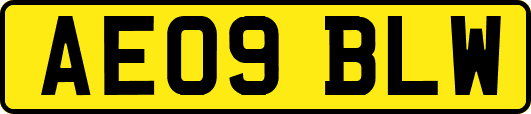 AE09BLW