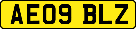 AE09BLZ
