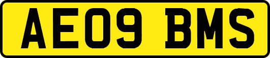 AE09BMS
