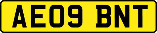AE09BNT