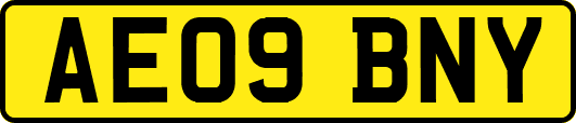 AE09BNY