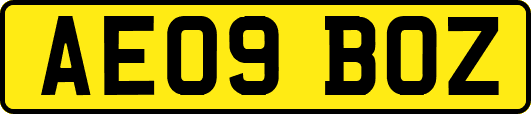 AE09BOZ
