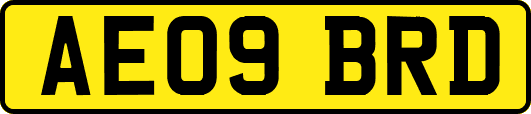 AE09BRD