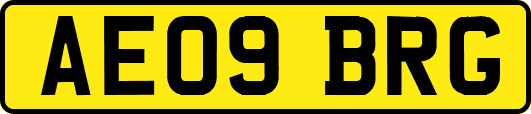 AE09BRG