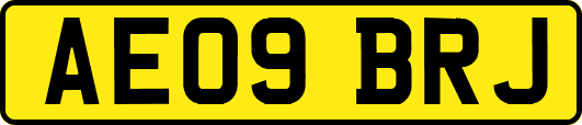 AE09BRJ