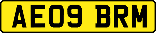 AE09BRM
