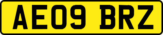 AE09BRZ